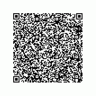 vCard 79033700099