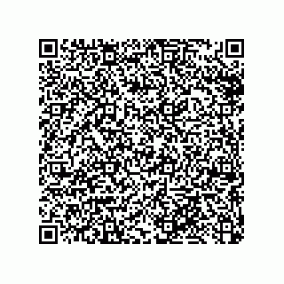 vCard 79033700111