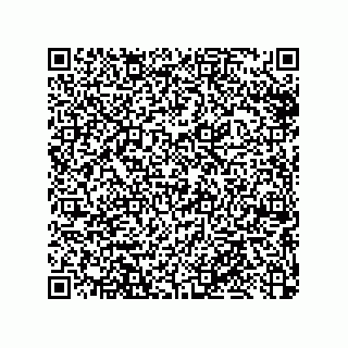 vCard 79033700113