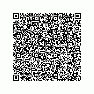 vCard 79033700117