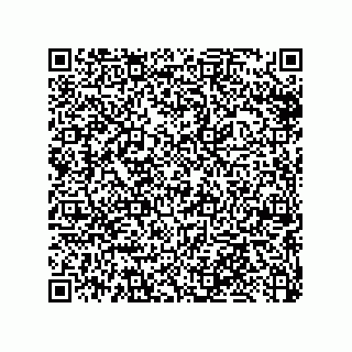 vCard 79033700119