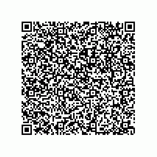 vCard 79033700121