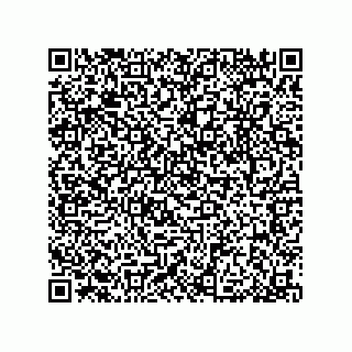 vCard 79033700129