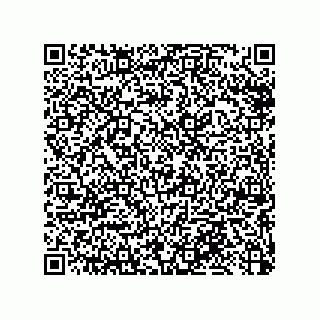 vCard 79033700130