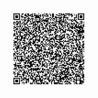 vCard 79033700132