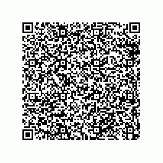 vCard 79033700133