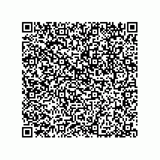 vCard 79033700135