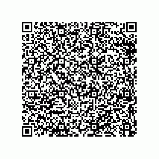 vCard 79033700137