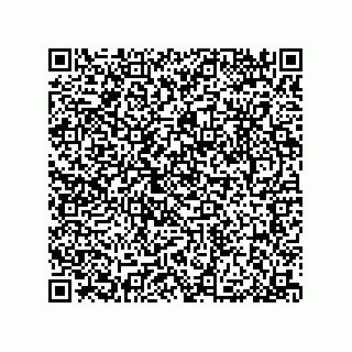 vCard 79033700141
