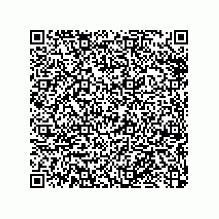 vCard 79033700153