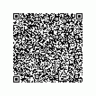vCard 79033700165
