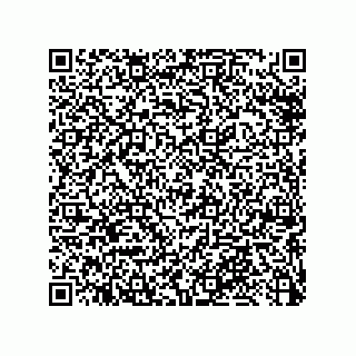 vCard 79033700174
