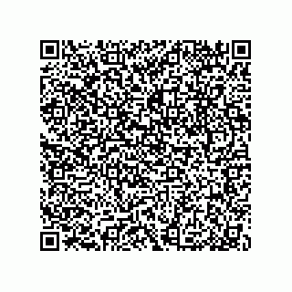 vCard 79033700176