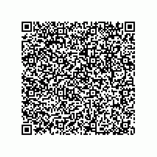 vCard 79033700178