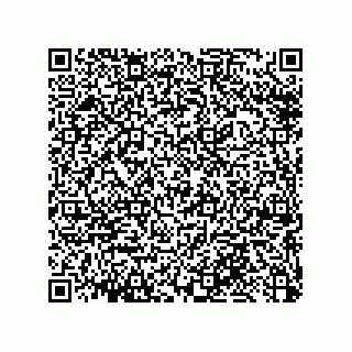 vCard 79033700180