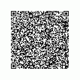 vCard 79033700181
