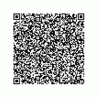 vCard 79033700191