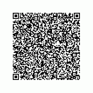 vCard 79033700201