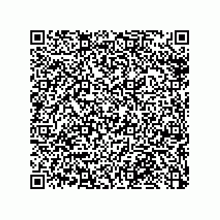 vCard 79033700202