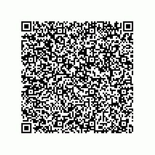 vCard 79033700204