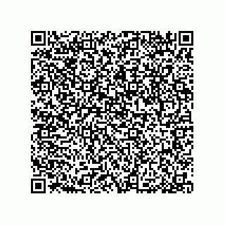 vCard 79033700205