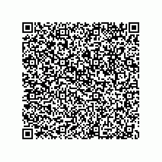 vCard 79033700206