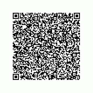 vCard 79033700209