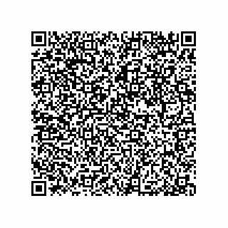 vCard 79033700210