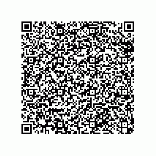 vCard 79033700211