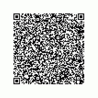 vCard 79033700220