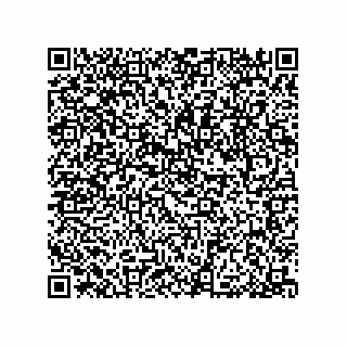 vCard 79033700221