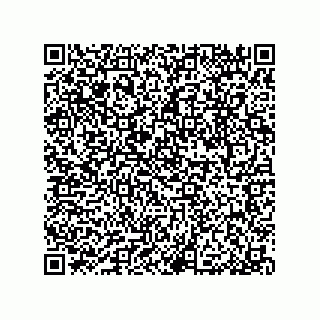 vCard 79033700233