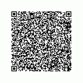 vCard 79033700234
