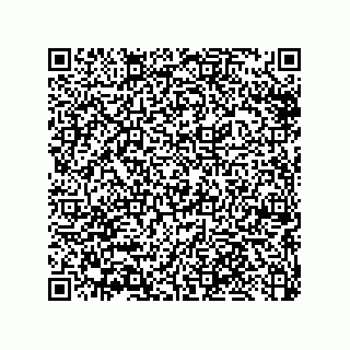 vCard 79033700239