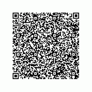 vCard 79033700240