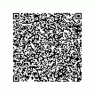 vCard 79033700241