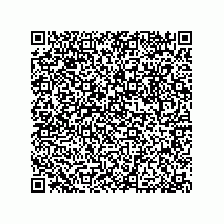 vCard 79033700243