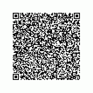 vCard 79033700245