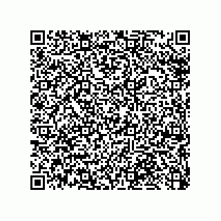 vCard 79033700248