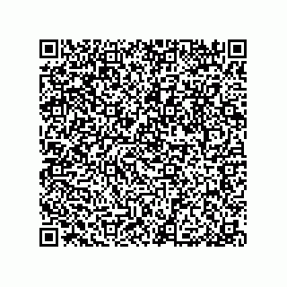 vCard 79033700253