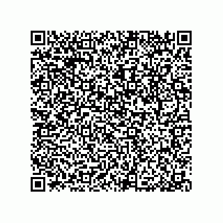 vCard 79033700263