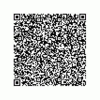 vCard 79033700264