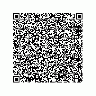 vCard 79033700265