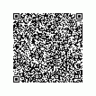 vCard 79033700268