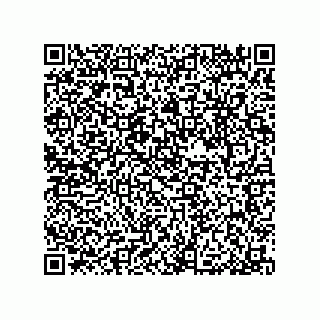 vCard 79033700269