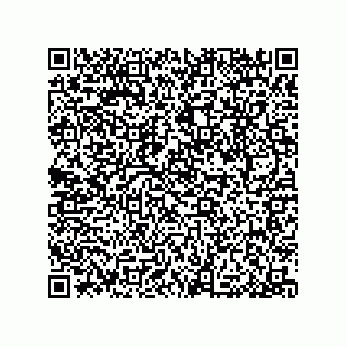 vCard 79033700271