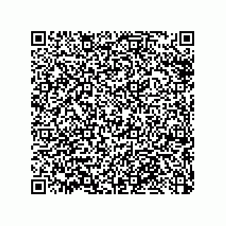 vCard 79033700272