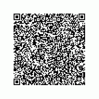vCard 79033700273