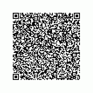 vCard 79033700274
