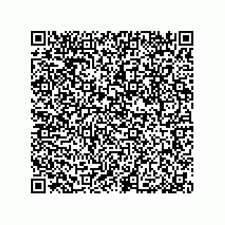 vCard 79033700278